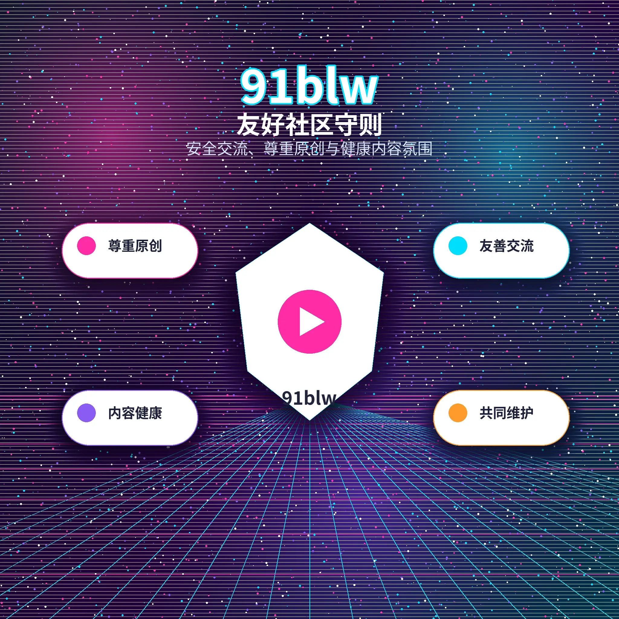 91网理性社交说明展示